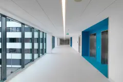 geomedical_0005