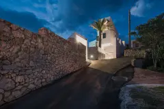 rab_rothcerina_ecola02