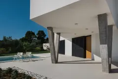 rab_rothcerina_ecola04