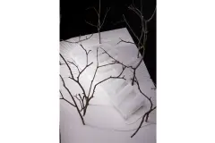 villa_in_park_09