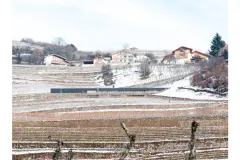villa_p_07
