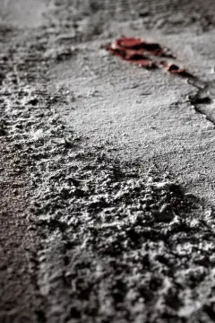 Ivan Whala | RAW